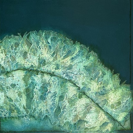 Bladvorm geschilderd door Hannie Hopster